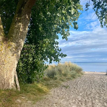 Feriendorf Suedstrand Haus 04 Pelzerhaken Luaran gambar